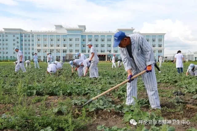 我院志愿者陪同患者康复训练 帮助其恢复社交能力5.webp.jpg