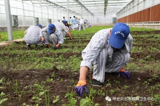 我院志愿者陪同患者康复训练 帮助其恢复社交能力2.webp.jpg