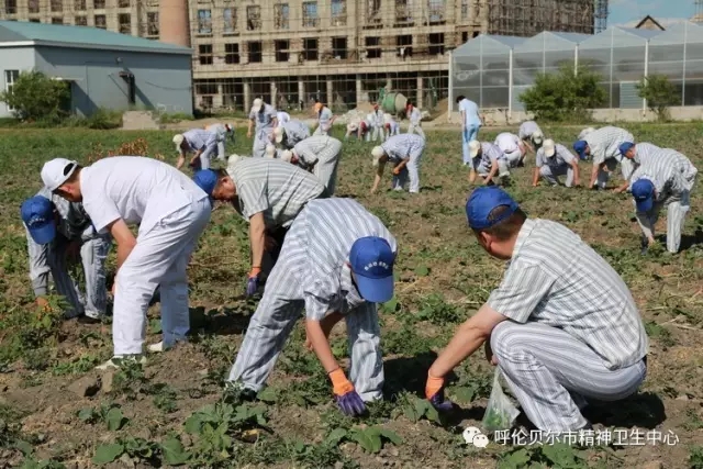 不忘初心服务医院——我院医患志愿者农疗康复基地义务拔草活动2.webp.jpg