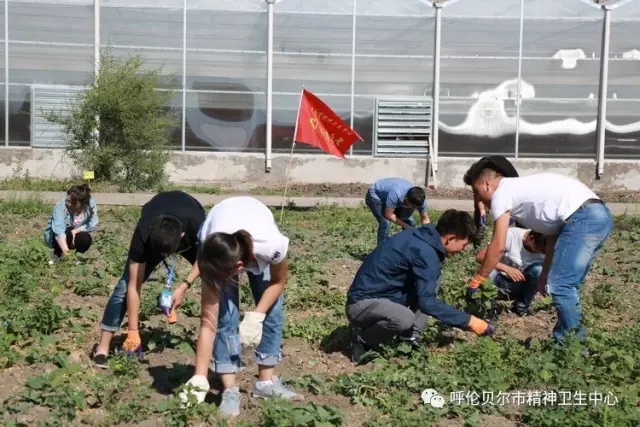 不忘初心服务医院——我院医患志愿者农疗康复基地义务拔草活动1.webp.jpg