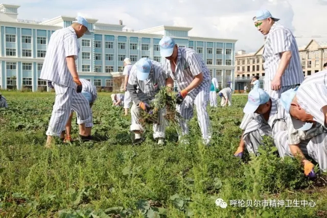 我院志愿者陪同患者康复训练 帮助其恢复社交能力4.webp.jpg