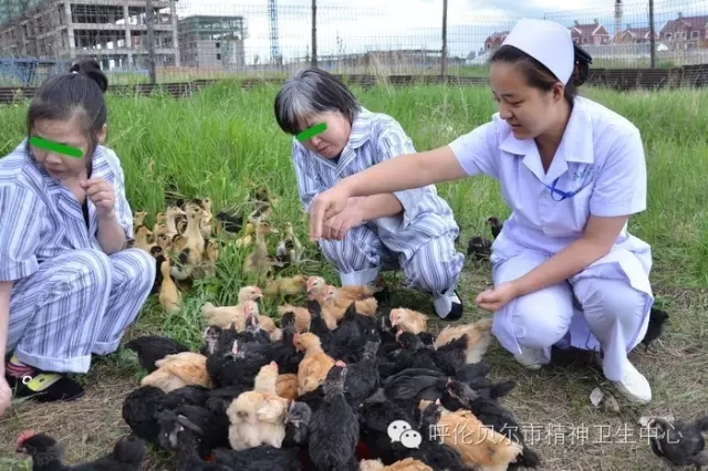 职业康复农疗基地——劳动中找快乐、促健康6.webp.jpg