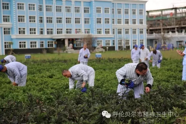 职业康复农疗基地——劳动中找快乐、促健康3.webp.jpg