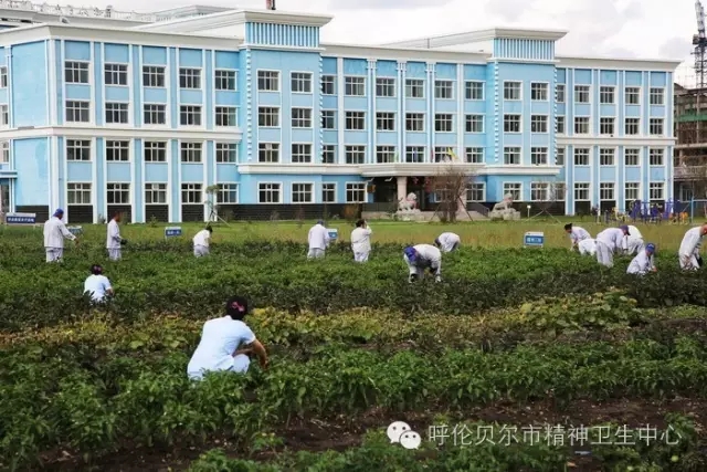 职业康复农疗基地——劳动中找快乐、促健康2.webp.jpg